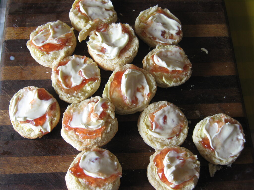 Fresh scones at Todd River Downs NT August 2025