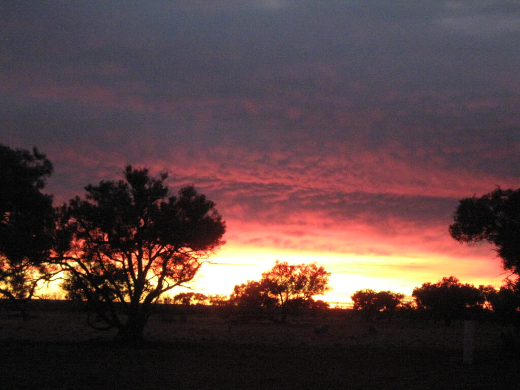 Todd River Downs NT, August 2025