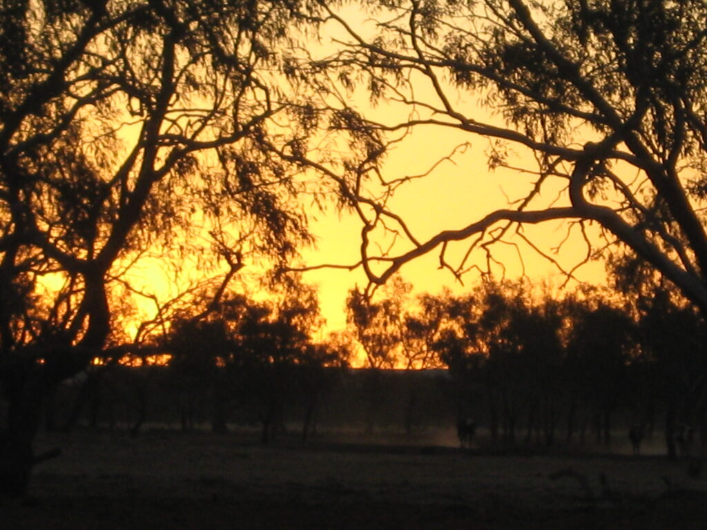 Todd River Downs NT, August 2025