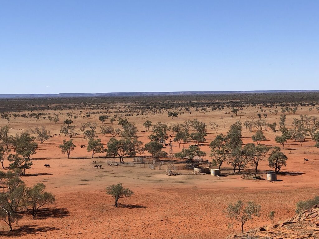 TRD yards with horses and water infrastructure