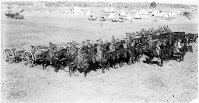 'Transport of the 8th Australian Light Horse Regiment on parade.' January, 1919, Tripoli, Lebanon