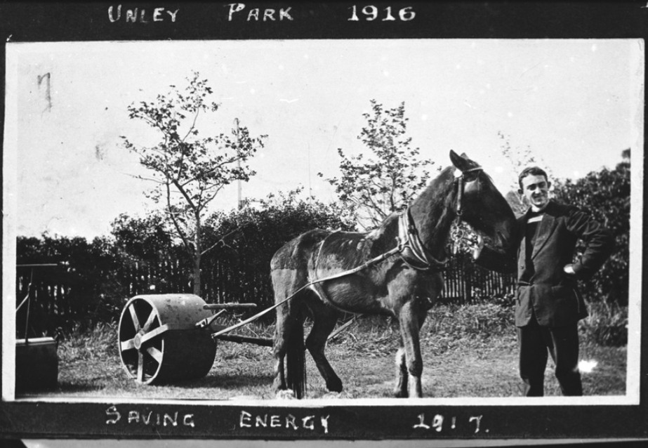 'W. B. Clark with a horse and a Unley Council Roller reclaiming a tennis court in the 1914-18 European War years. 1917.' State Library S.A.