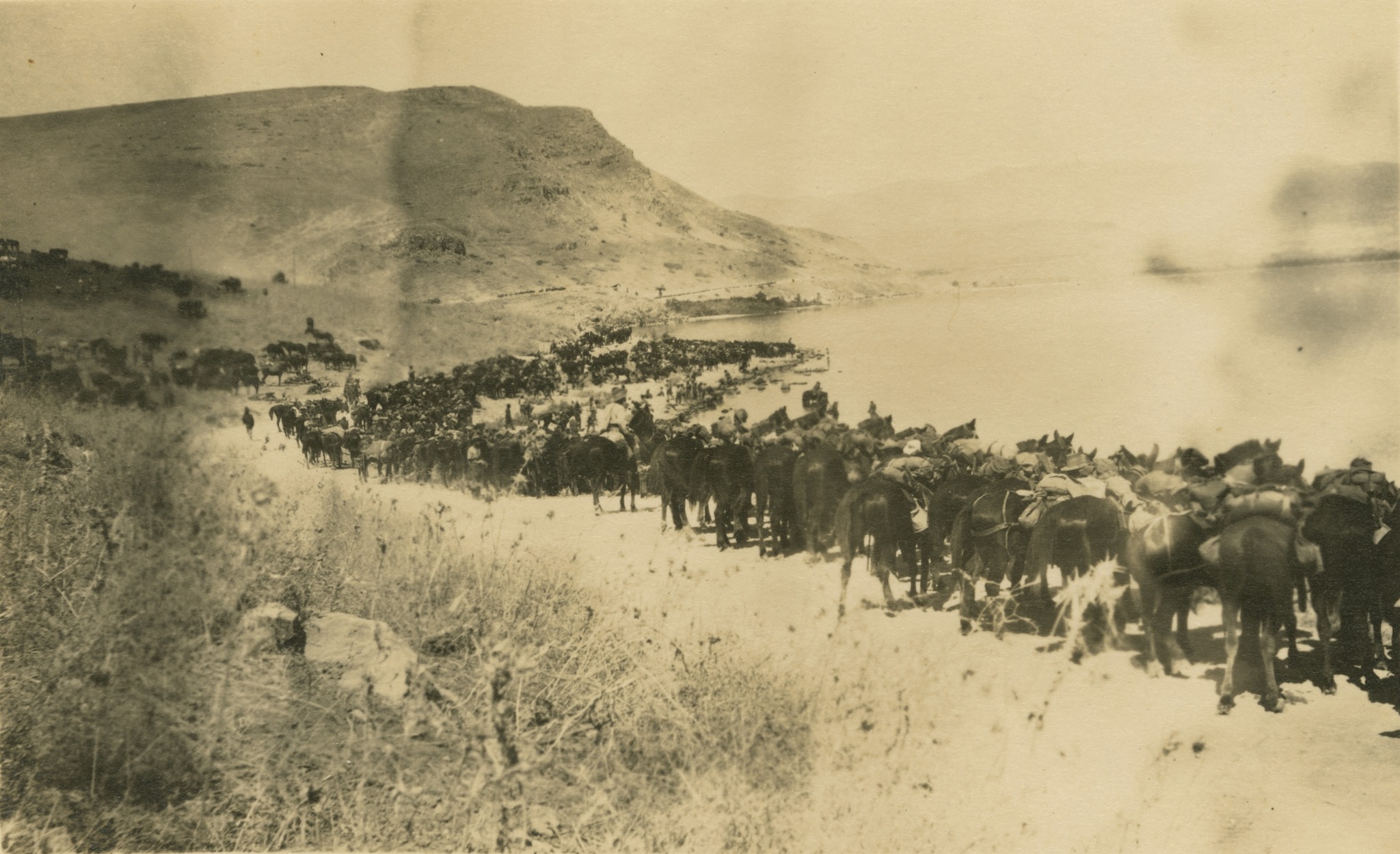 'Postcard depicting 11th Light Horse Regiment watering in the Sea of Galilee, North of Tiberius. The photographs and photo album relate to Lieutenant G.L.M. Macdonald, 11th Light Horse Regiment, he was also known as Corrie Macdonald. ' State Library Qld