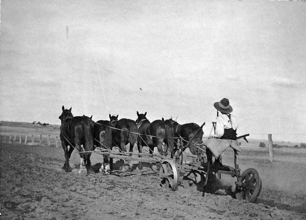 'A young boy driving a plough. He was 14 years old. Mount Hope, Victoria, 4th November, 1919. Identified as Kenneth McGillivray.' Museums Vic