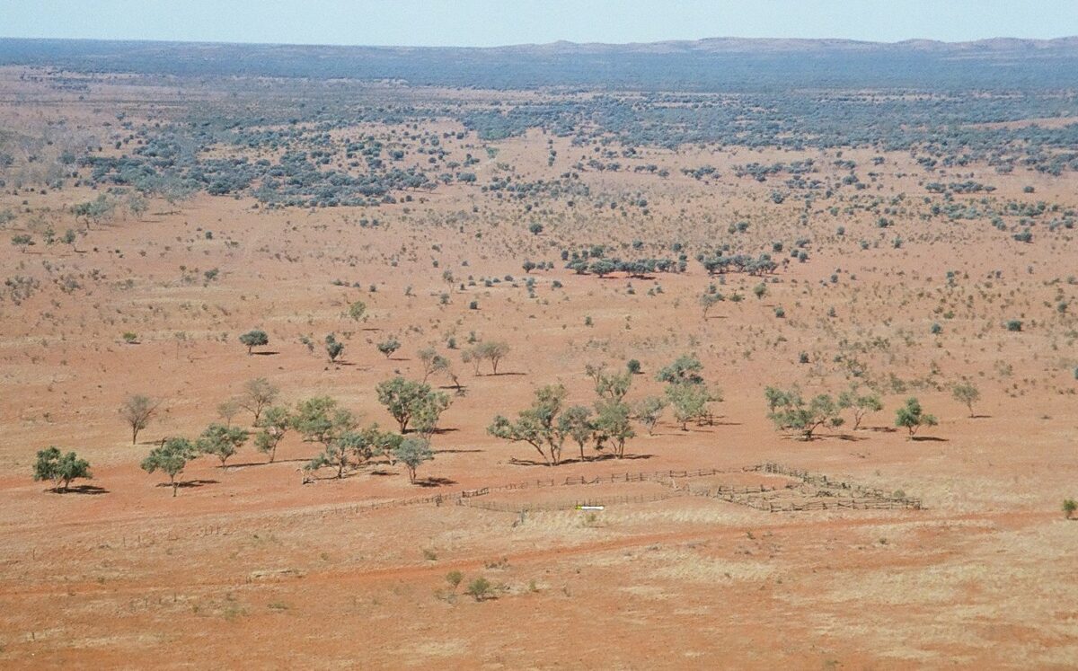 Timber yards at Todd River Downs built by Kevin Pick