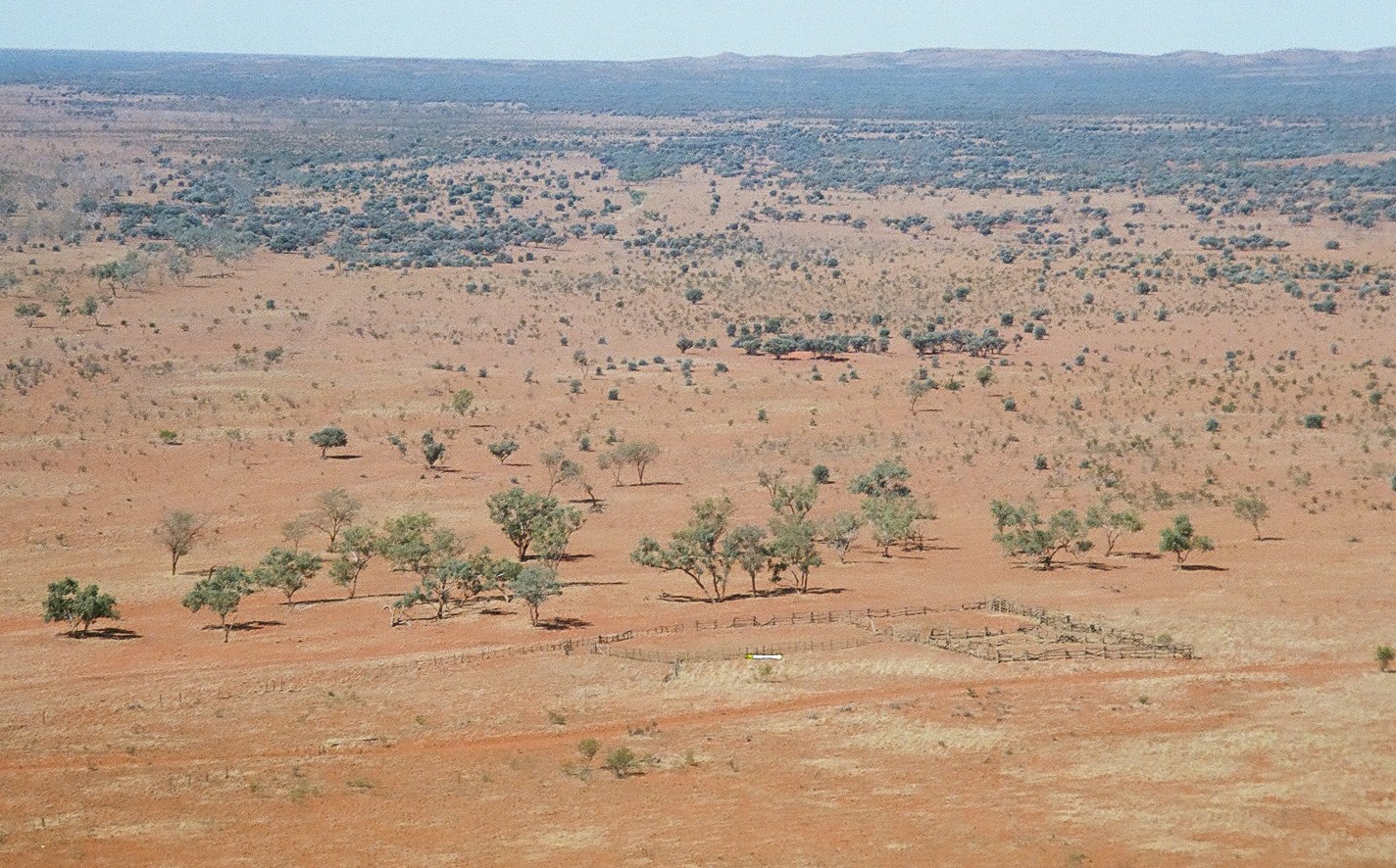 My friend Kevin Pick