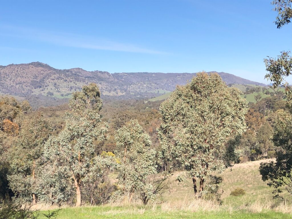 Australian Light Horse Memorial Park Seymour 2025, view from ANZAC Hill