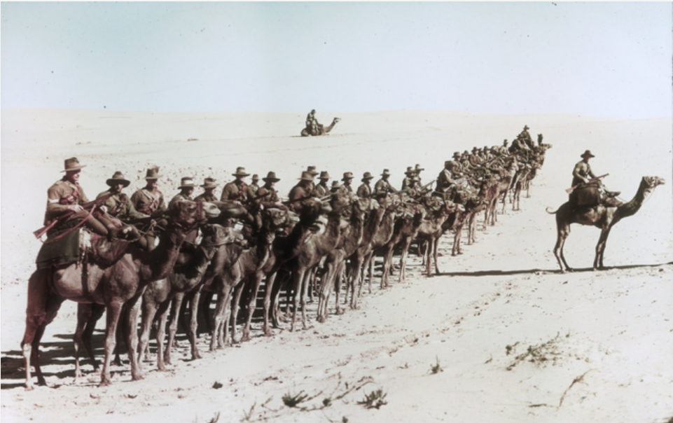 'Australians of the Imperial Camel Corps on the sandhills. This image is a colour Paget Plate. Frotier, Rafa, Sinai, Egypt. 26th January 1918.' Frank Hurley photo AWM