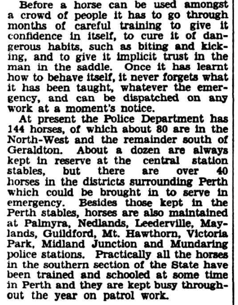 West Australian, 14th September 1935.
Some great historical info re numbers of police horses and where obtained - station horses. No wonder they were so good.