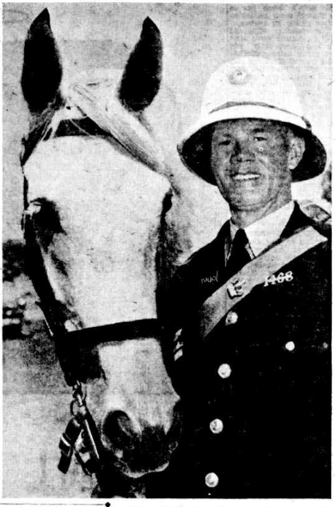 Sunday Times, 25th February 1954.
Sergeant Jack Bond was in charge of the mounted procession, he had also taken over as police horse buyer and had selected which horses were used, both from existing mounts and ones bought in. He did very well. He'd spent a lot of time in the north, so knew where to find good horses.