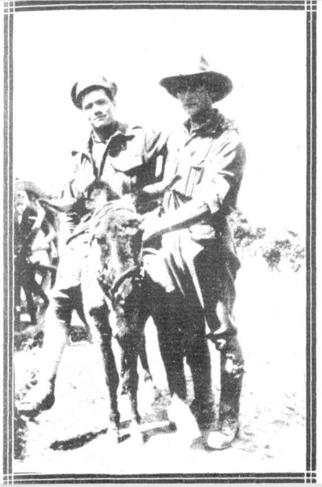 '"Simpson" ... his real name was John Simpson Kirkpatrick, and he enlisted in Western Australia, but eh was a native of South Shields, England. With two donkeys, Duffy No.1 and Duffy No 2. he carried many wounded from the firing line to the beach until at last he was killed.' Sydney Mail, 26th April 1915 In articles of the time it was said Duffy 1 and Duffy 2 had been caught from the Turks. Later (1919) accounts say Simpson had one donkey named Murphy, which had a female mate and a foal, the last two being shot on Gallipoli. Perhaps he used several donkeys, someone may know. The main thing is he had incredible courage and so did the little donkeys. He usually put the Red Cross on his donkey's forehead.