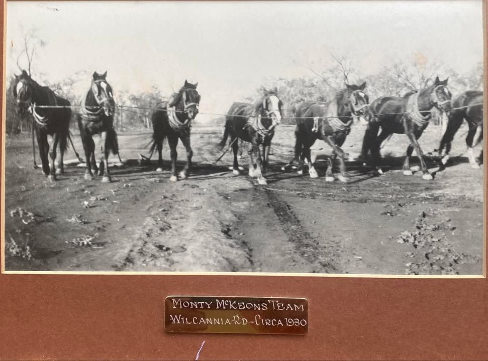 Private photo sent in by Brent - it's his grandfather working on the Barrier Highway between Cobar and Wilcannia, NSW. c1930
