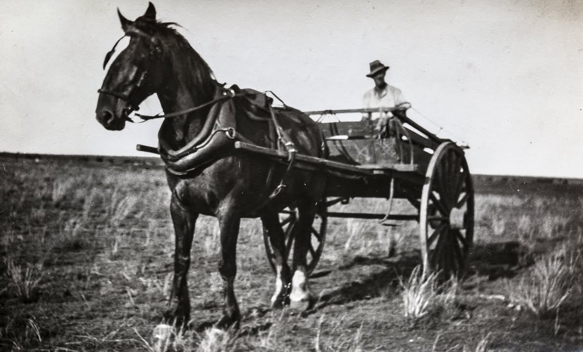 '1920c. WW1 soldier settler of Monash S.A., Amos Cook with horse and cart.'

From Alison Halupka's Monash collection, via Tam Weller, great granddaughter.