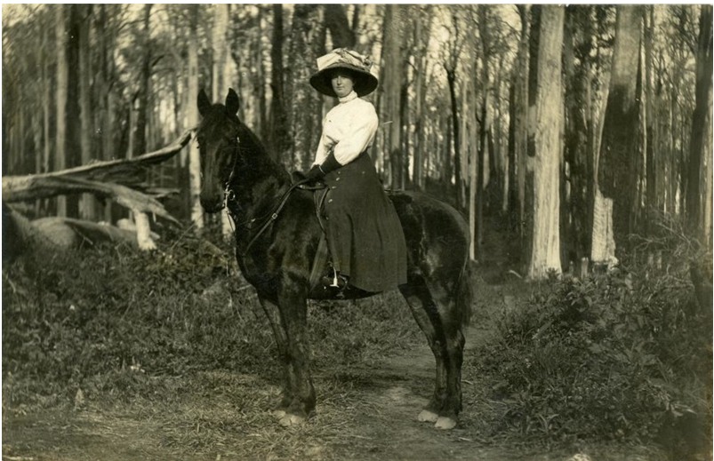 Iris Solomons riding a black horse on a bush track. She is wearing a divided skirt and a large hat.
HW on back "Mrs. Spurway "The Kurrajongs" Byangum."
"To Dear Mrs. Spurway with love and Best Wishes from Iris E. Solomons."'

Photograph by Douglas Solomons, 1912.
Tweed Regional Museum
