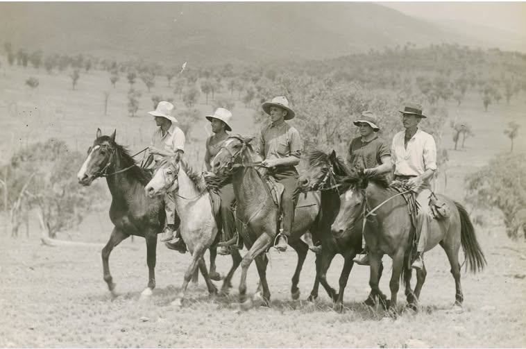 'Walkabout magazine : New South Wales photographs [sheep stations] .'
State Library NSW
Likely taken at Tenterfield, see comments, thanks Bernie.
nice go-ey ponies, possibly a fair bit of Timor. 
dated 1947-1966