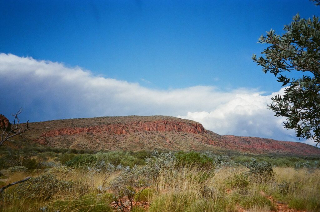 View of the range at Newhaven Wildlife Sanctuary NT