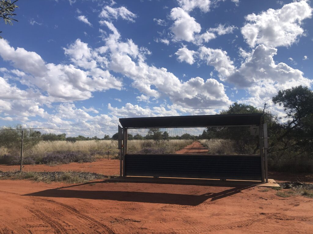Access gate in exclusion fence at Newhaven Wildlife Sanctuary NT