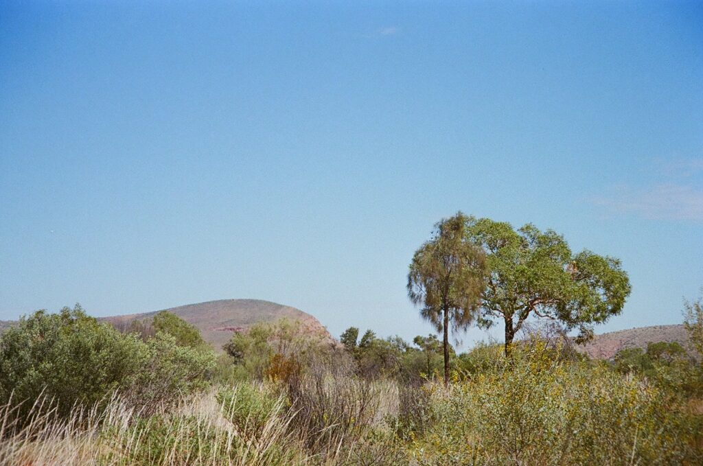 Access road to Newhaven Wildlife Conservancy NT