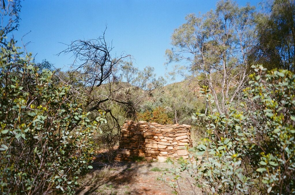 Drive at Newhaven Wildlife Sanctuary NT