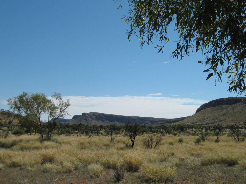 Access road to Newhaven Wildlife Conservancy NT
