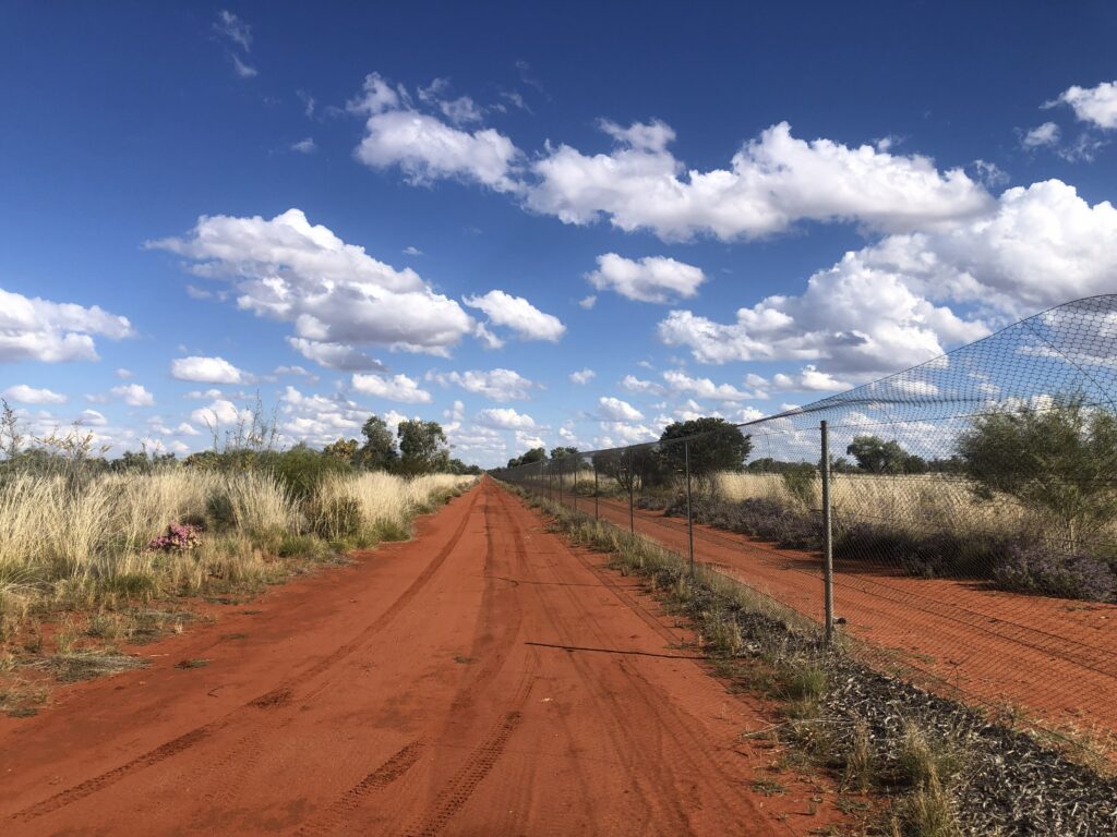 Exclusion fence at Newhaven Wildlife Sanctuary NT