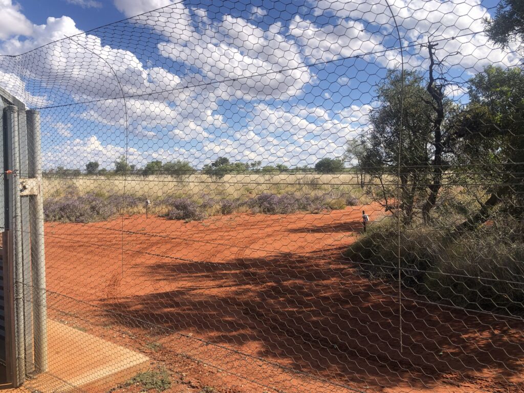 Exclusion fence at Newhaven Wildlife Sanctuary NT