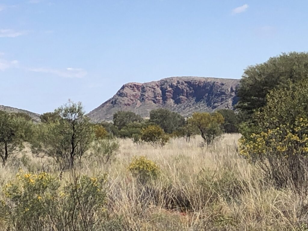 Access road to Newhaven Wildlife Conservancy NT