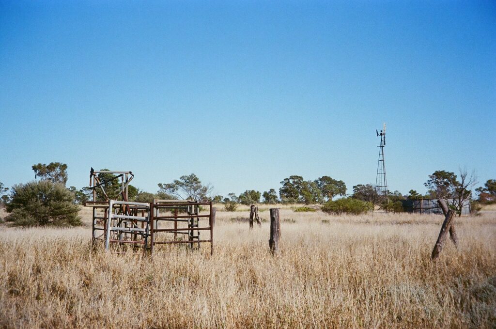 Old Mt Gurner station yards at Newhaven Wildlife Sanctuary NT