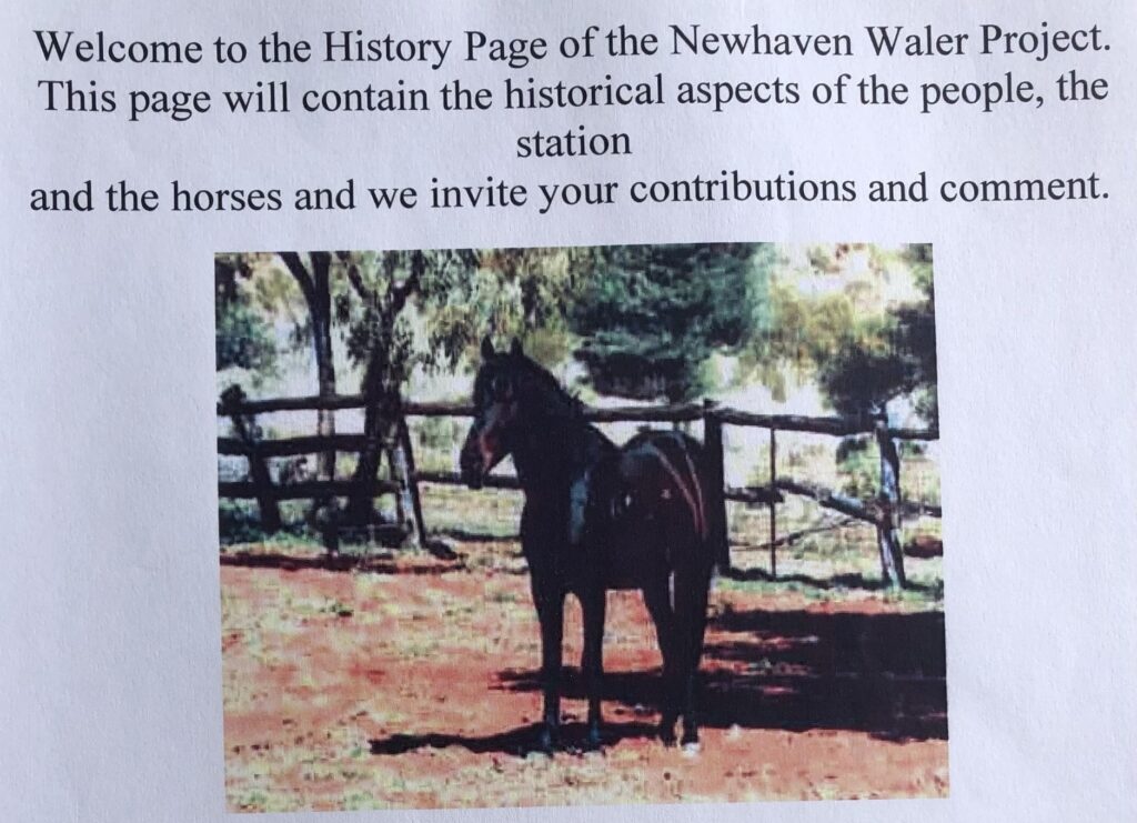 Newhaven Project webpage 2006