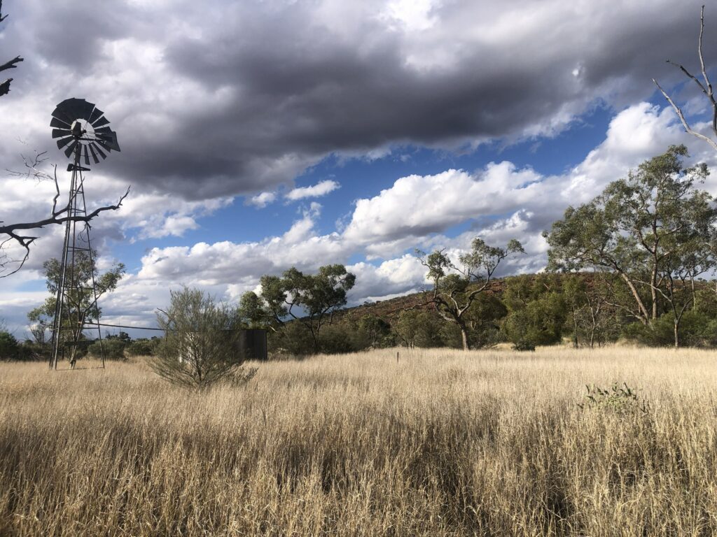 Old station yards at Newhaven Wildlife Sanctuary NT
