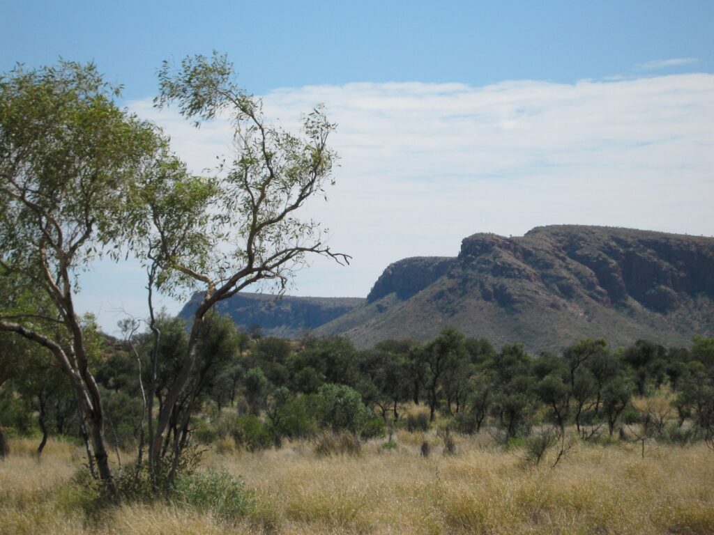 Access road to Newhaven Wildlife Conservancy NT