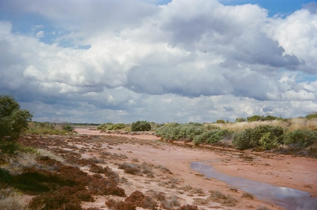 Lake Bennett at Newhaven Wildlife Sanctuary NT