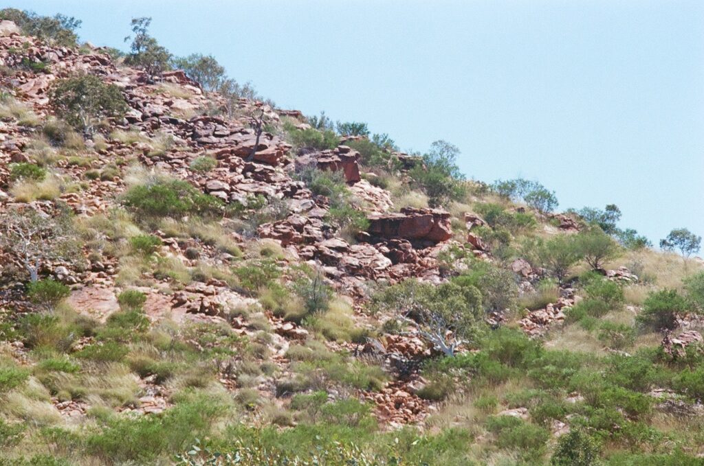 Detail of Mt Gurner at Newhaven Wildlife Sanctuary NT