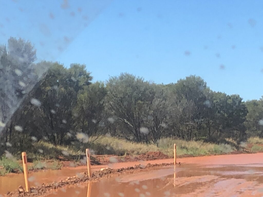 Tanami road on way out