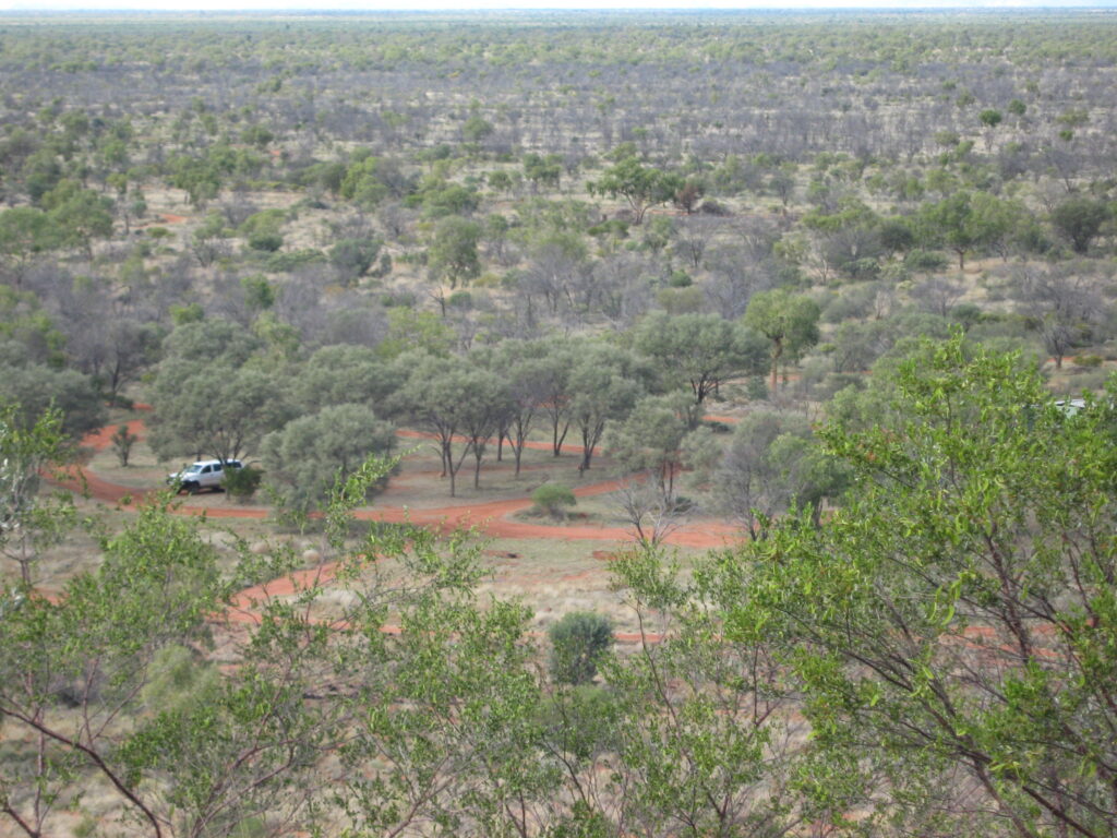 View from the top of Eremaea's Happy Track at Newhaven Sanctuary NT
