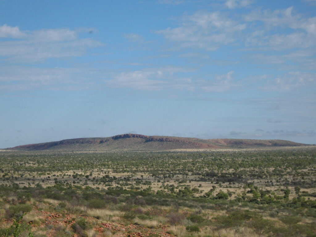 View from the top of Eremaea's Happy Track at Newhaven Sanctuary NT